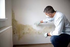 Reliable Lansdowne, PA Mold Inspection Solutions